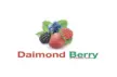 Daimond berry